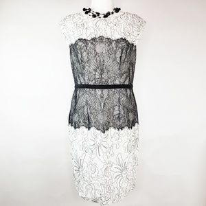The Limited Scandal Collection Lace Dress Size 6P
